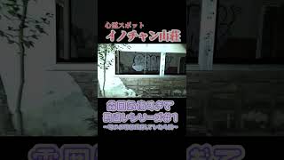 雰囲気凄くて怖すぎました…ww #おすすめ #shorts #short #心霊 #心霊スポット #イノチャン山荘 #ブルーマイズ