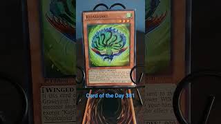 Card of the Day 381 #yugioh #tcg #konami #wind #effect