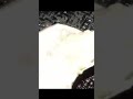 Nyari Ikan Malam Hari Disawah Shorts