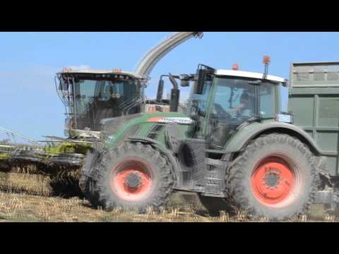 MAISERNTE 2015 - CLAAS JAGUAR 970 DYNAMIC POWER - BioEnergie Härten