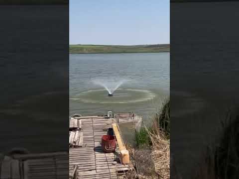  Aerator pu iazuri tip fontan - 220V 0,75kW KUBBER