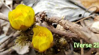 Me and God - Josh Turner (Lyrics)