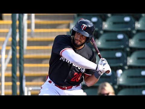 Emmanuel Rodriguez 2025 Minor League Highlights!