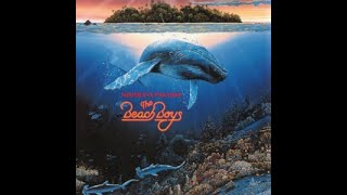 Summer In Paradise  Album, Beach Boys 1992
