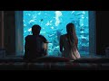 https://www.youtube.com/watch?v=z0EmRulqVj4