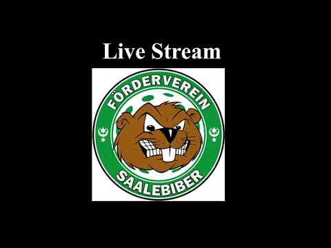 USV Halle Saalebiber II  Magdeburg 28 10 2023