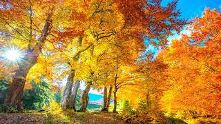 "Autumn Along the coast" Beautiful Relaxing Music, Peaceful Instrumental Music by Tim Janis