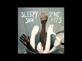 Sleepy Sun - Stivey Pond 