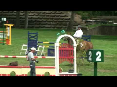 ♥ Quockando du Genet- jumping horse  by Quidam de Revel