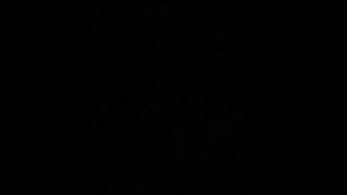 Never Should've Let You Go - Saliva