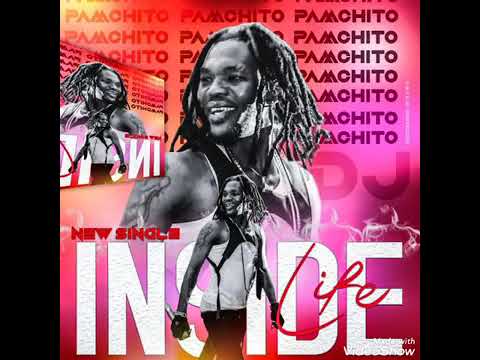 PAMCHITO DJ - INSIDE LIFE (AUDIO OFFICIEL). 229 Dj ZEDEDJI