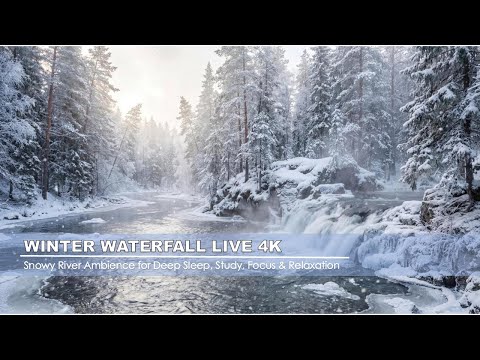 Winter Waterfall Live | Snowy River Ambience for Deep Sleep, Study, Focus & Relaxation