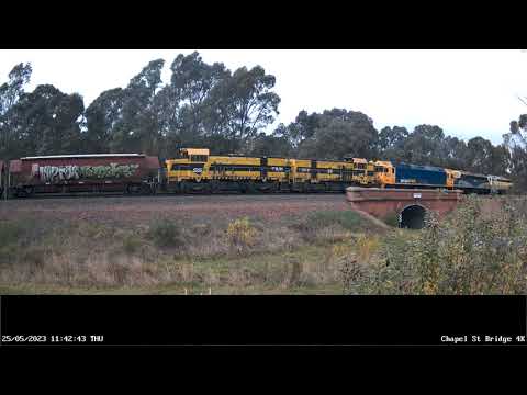 SSR S317 B80 BL29 T363 T381 Mitiamo Grain Up - 25th May 2023