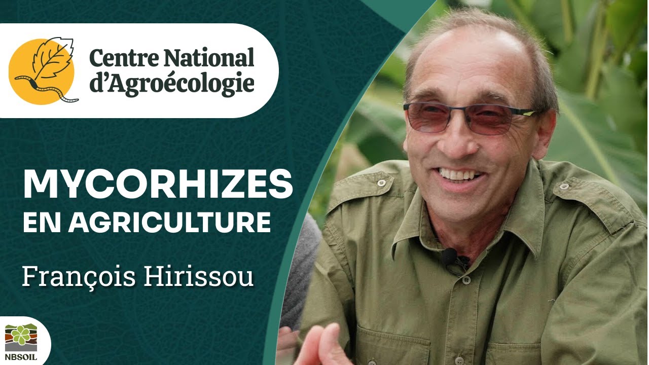 Les mycorhizes : comment les favoriser et quels intérêts agronomiques ?, François Hirissou - CNA