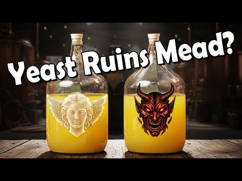 Lalvin 71b vs Safale S-04 -Did the BEAST get BESTED?