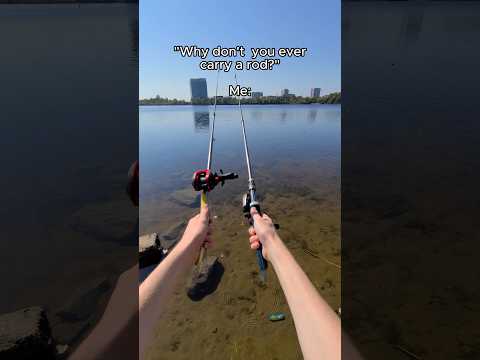 They are called "FishyFlow rods" 🫣🔥 #relaxing #fishing #fishingrod