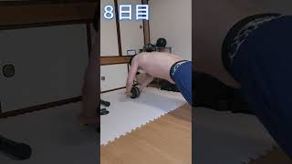 腹筋ローラー8日目