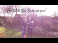 PP Stal De Wal Birds Eye View