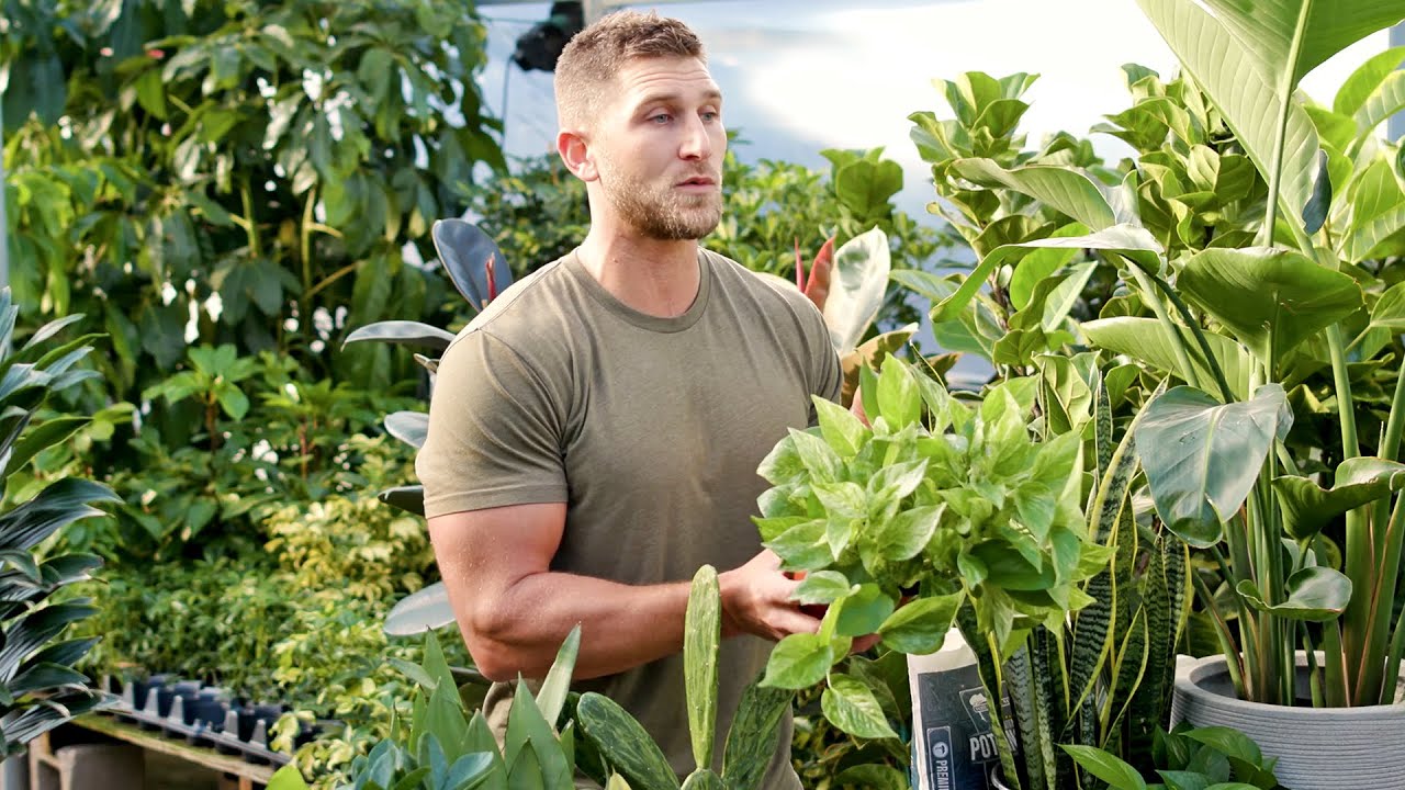 Houseplant Basics & Easy-To-Care-for Varieties