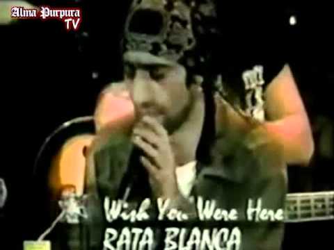Wish You Were Here video