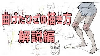 【膝の描き方①】骨から筋肉、関節までも徹底解説!コレを見れば曲がった膝も超簡単!【ライブ切り抜き】