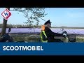 Lange stoet scootmobielers trekt voor het laatst door de bollenvelden - OMROEP WEST