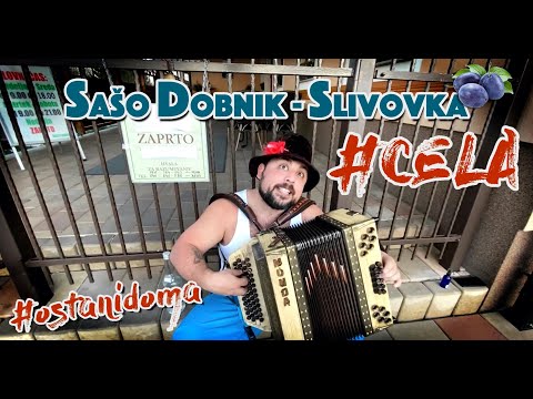 SAŠO DOBNIK - CELA Slivovka (LEVO DESNO - Parodija Domen Kumer & Ans Stil)
