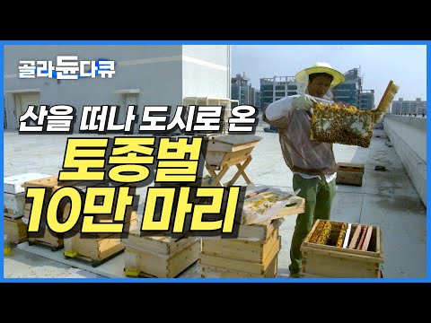 아이콘