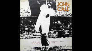 John Cale - Chicken Shit - 1977