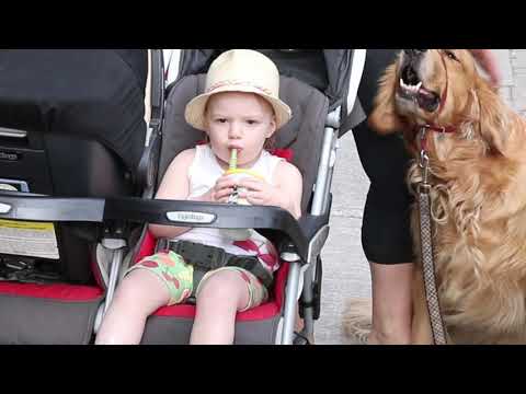 Real Estate Video Euphoria 154 Broadway, Orangeville, ON