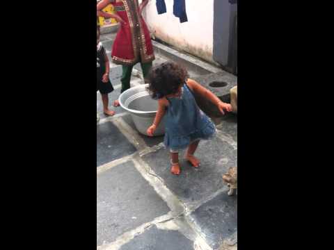 Veda playing with cats