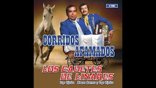El Corrido De Los Perez Music Video