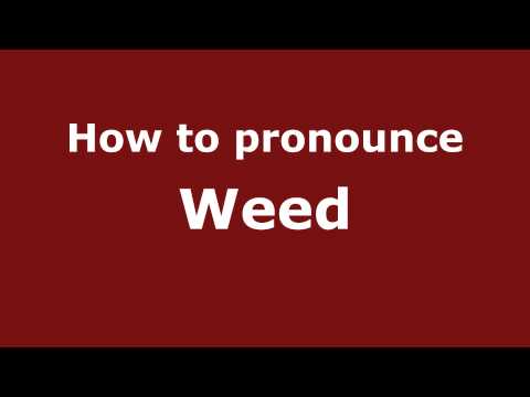 How to Pronounce Weed - PronounceNames.com