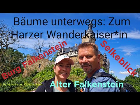 The ☆Selke Valley☆ Falkenstein Castle, Alter Falkenstein, and the Selkesicht. Harz Hiking Badge 0...