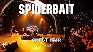 Spiderbait - Chest Hair