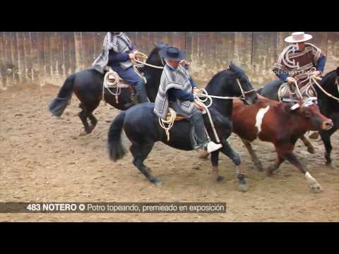 483 NOTERO LAS CALLANAS