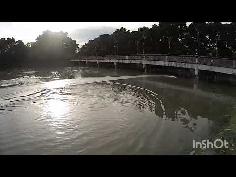 FT011 150A 2968_3400KV Prop 38mm. 2200_30C _4S lipo