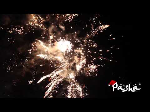 Pasha Shisha - New Year Party 2014