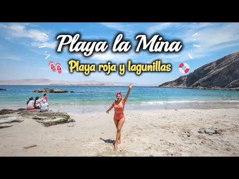 PLAYA LA MINA - PARACAS: How to get there on your own 2021