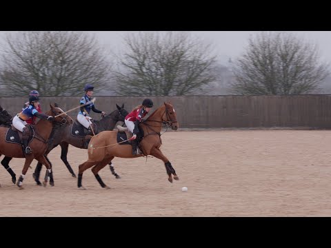 Fifty Shades of Neigh V Glynn's Silly Fillies, 0 to 2, Saturday 8th Feb 2025