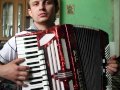 W zielonym gaju - Akordeon 