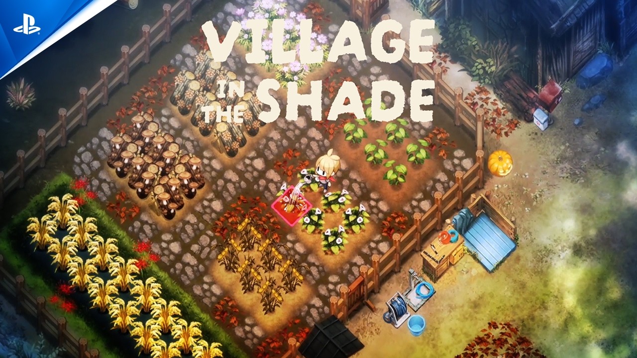 Play Video