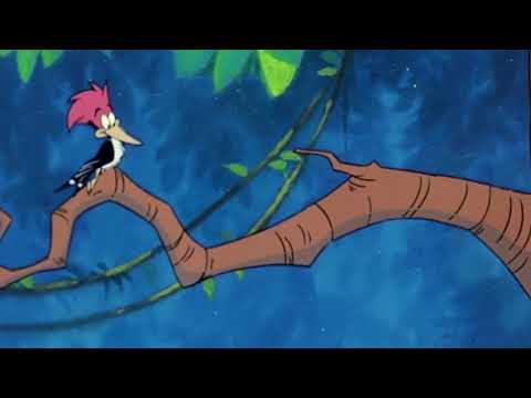 Bagheera and Company Part 8 - At Angel's House/Meet Abigail/"Perfect Isn't Easy!"