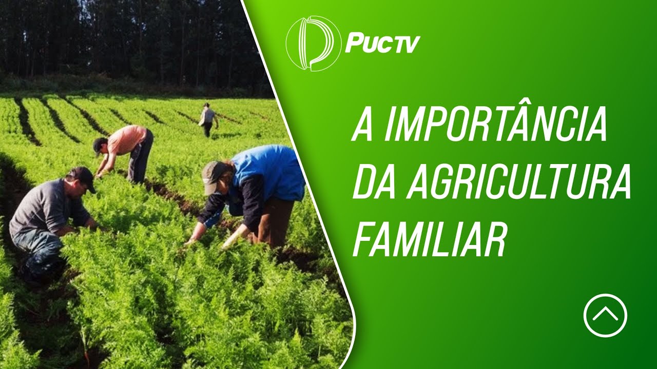 NO PROGRAMA DE HOJE, VEJA: A IMPORTÂNCIA DA AGRICULTURA FAMILIAR