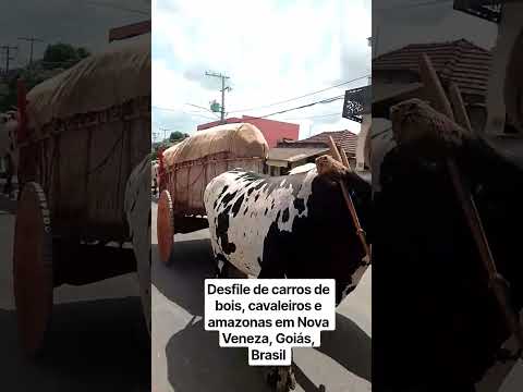 #desfiledecarrosdebois , #cavaleiros e #amazonas "amigos do Willian da Geraluz" Nova Veneza, Goiás