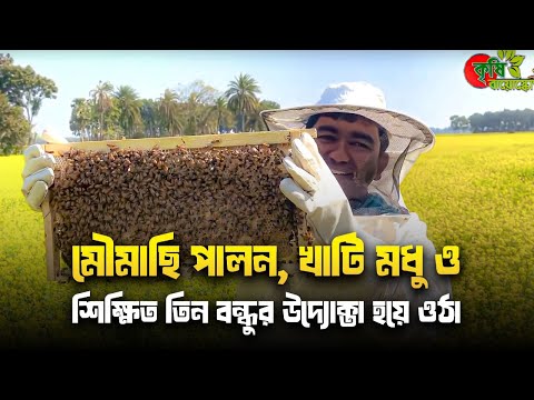 মৌমাছি পালন, খাটি মধু ও শিক্ষিত তিন বন্ধুর উদ্যোক্তা হয়ে ওঠা-২০২২