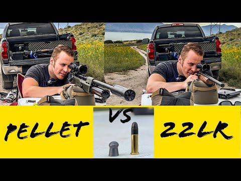 22LR VS .30 Cal Pellet LONG RANGE | Is It Even Possible?