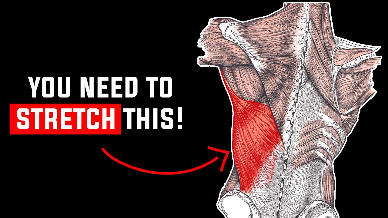 This Muscle Tightens Your Shoulders & Lower Back—Here’s How to Stretch It!