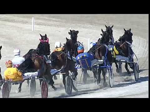 Napoli Trotto 05/05/2023 - 5ª corsa