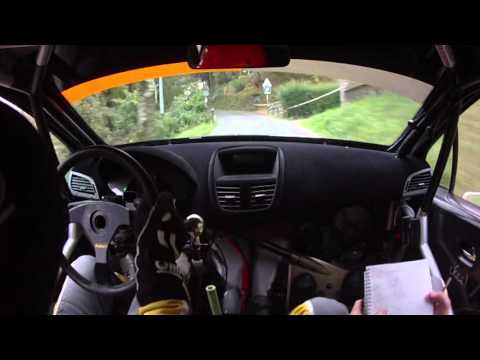 Cameracar Rally Coppa Aci Como 2015 Dotti - Zumella Peugeot 207 S2000 P.S. 3